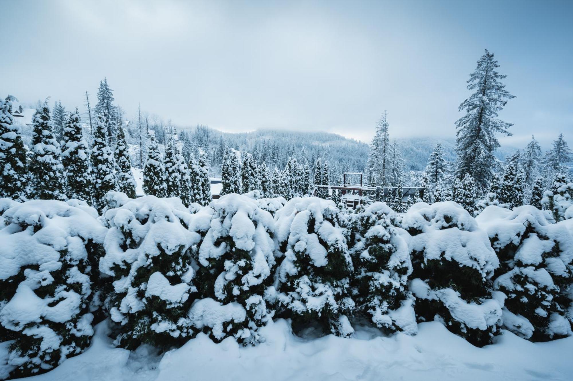 Visitzakopane - Janosik Apartment Exteriér fotografie