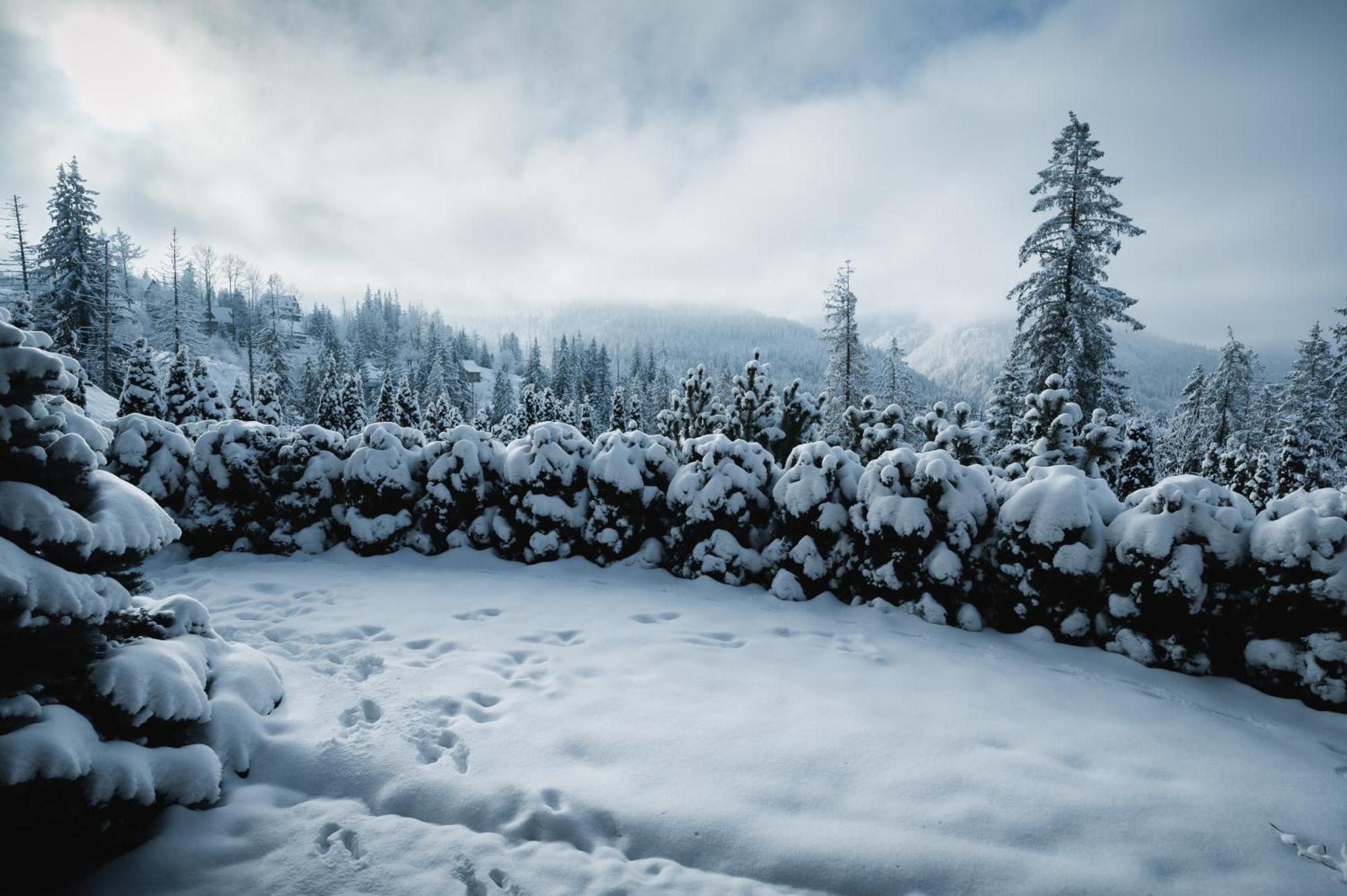 Visitzakopane - Janosik Apartment Exteriér fotografie