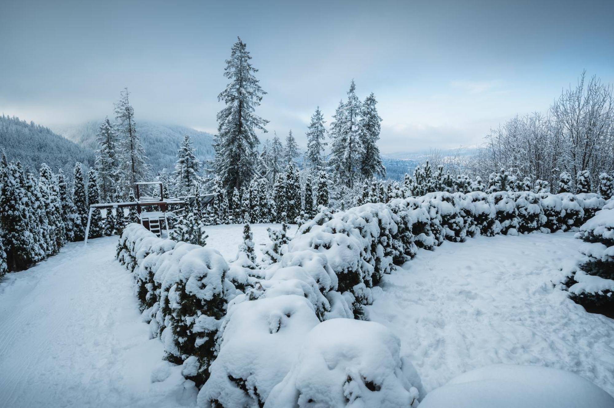 Visitzakopane - Janosik Apartment Exteriér fotografie
