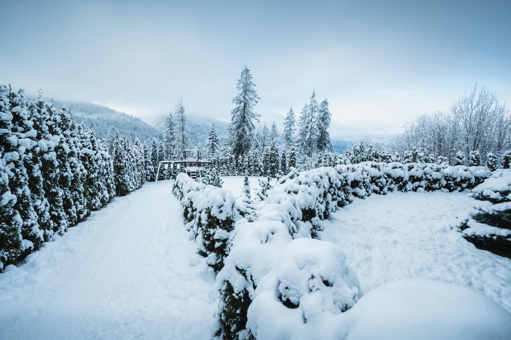Visitzakopane - Janosik Apartment Exteriér fotografie